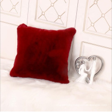 18 x 18 Inch 45 x 45 cm Soft Luxury Series Faux Rabbit Fur Throw Pillow Case Cushion Cover for Sofa Bedroom Car